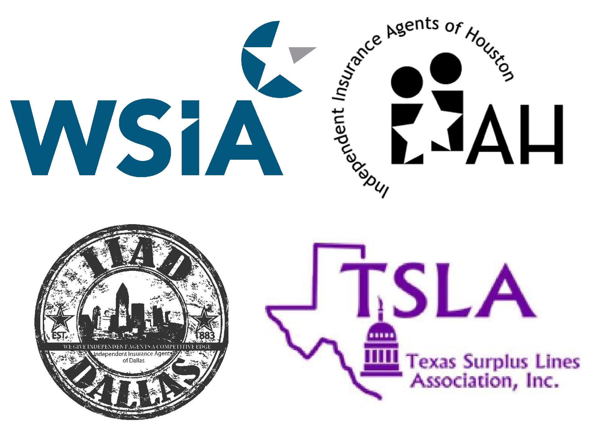 Members of WSIA, IIAH, IIAD, and TSLA 